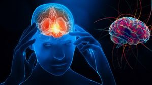 మెదుడుని కత్తిలా షార్ప్ గా మార్చే సూపర్ ఫుడ్..వంటగదిలో ఉంటది,99శాతం మంందికి తెలియని రహస్యం