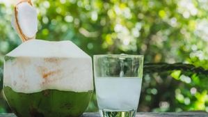 సమ్మర్ వచ్చిందని కొబ్బరినీళ్లు తాగుతున్నారా? ఈ విషయం తెలుసుకోకుంటే మరణమే!