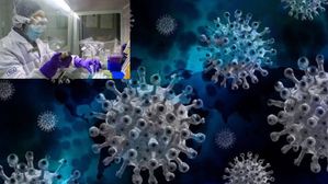 చైనాలో కరోనా లాంటి మరో వైరస్? మళ్లీ భారీ వినాశనం తప్పదా?