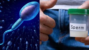 మగాళ్లకు భారీ హెచ్చరిక..ఈ ఫుడ్స్ తింటే తండ్రి అవ్వలేరు!..ఎంత శృంగారం చేసినా నో యూజ్