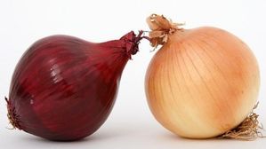 ఎర్ర ఉల్లి vs తెల్ల ఉల్లి.. ఈ రెండిటిలో ఏది మంచిదో తెలుసా?