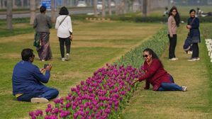 Valentines day 2025: సింగిల్స్ వాలంటైన్స్ డేని ఎలా జరుపుకోవాలో చూడండి