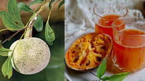 సమ్మర్ లో తాగాల్సిన జ్యూస్ ఇదే..దీని ప్రయోజనాలు తెలిస్తే అర నిమిషం ఆగరు!