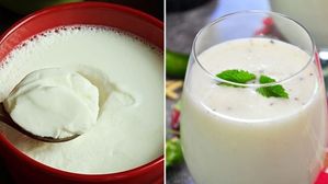 పెరుగు vs మజ్జిగ.. ఎండాకాలం ఏది తాగితే మంచిది? డాక్టర్లు ఏమంటున్నారంటే?