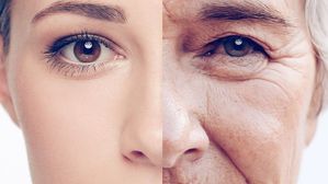 ఈ మూడు ఫుడ్స్ తింటే.. 80 సంవత్సరాలైనా మీ చర్మంపై ముడతలు రావు, హీరోలు తినేది ఇదే!