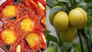 ఇలా చేసుకుంటే ఎన్ని రోజులైనా నిమ్మకాయ పచ్చడి పాడవదు, అదే రుచి అదే టేస్ట్.. ఎలా అంటే?