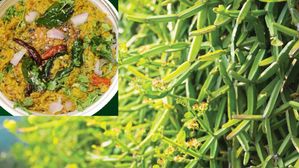 విరిగిన ఎముకల్ని అతికించి,నడవలేనోళ్లను కూడా పరిగెత్తించే పచ్చడి..ఎలా చేయాలంటే