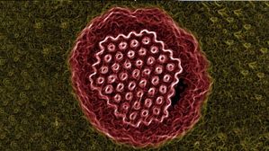 వామ్మో రష్యాలో అత్యంత భయంకరమైన వ్యాధి.. దగ్గుతో రక్తం కక్కుకొని మరీ, లక్షణాలు ఇవే గురు!