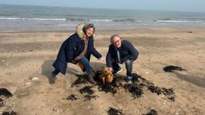 యుగాంతానికి ఈ జీవిని సాక్ష్యం?.. బీచ్‌లో వింత జీవి.. సగం ఏలియన్ సగం చేప!