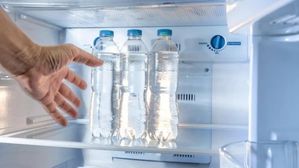 ఎండాకాలం ఫ్రిడ్జ్‌లో ప్లాస్టిక్ వాటర్ బాటిల్ పెట్టేవారికి షాకింగ్ న్యూస్.. వారికైతే మరణం గ్యారెంటీ!