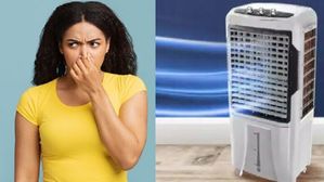 కూలర్ నుంచి భరించలేని వాసనా వస్తుందా.. ఈ ఒక్క పని చేస్తే మల్లెపువ్వులా పరిమళించిపోతుంది!