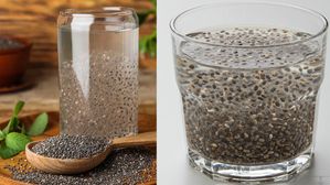  Chia seeds: చియా సీడ్స్ ఇలా తింటే ప్రమాదం!..షాకింగ్ నిజం చెప్పన డాక్టర్