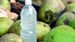 SHOCKING: ఇలాంటి కొబ్బరి నీళ్లు తాగి చనిపోయిన వృద్ధుడు.. మీరు కూడా ఇలా తాగితే ప్రమాదంలో పడినట్లే