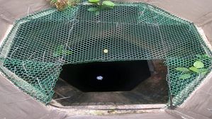 ఇందులో చూస్తే మన మరణం ఎప్పుడో స్పష్టంగా తెలిసిపోతుందట.. మనకు చాలా దగ్గర!