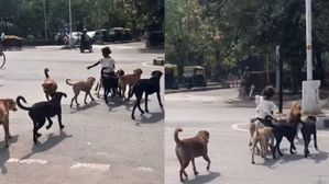 చిన్నారికి Z+ సెక్యూరిటీ!.. వైరల్ అవుతున్న హార్ట్ టచ్చింగ్ వీడియో..చూస్తే మాత్రం..