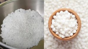 సూపర్ టేస్టీ సగ్గు బియ్యం వడియాలు.. డబుల్ రుచి, నోట్లో వేసుకునే బ్లాస్టే! సింపుల్ అండ్ రుచిగా చేసుకునే విధానం 