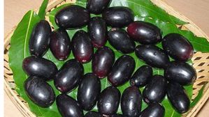 Jamun: నేరేడు పండ్లు తిన్న వెంటనే ఇవి అస్సలు తీసుకోకూడదు..విషంతో సమానమే!