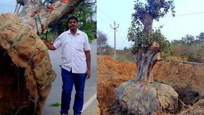 రియల్ హీరో:  మంచి ఉద్యోగం వదిలేసి లక్షల చెట్లను నరకకుండా కాపాడిన హైదరాబాదీ