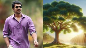 ప్రభాస్ ఇంట్లో కల్పవృక్షం!..రెబల్ స్టార్ జాతకం మారిపోతుందా?