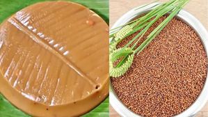 మెదడు చురుగ్గా,ఎముకలను ఉక్కులా మార్చే పోషకాల రాగి జున్ను..ఎలా చేసుకోవాలంటే