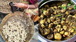 మెరుపు వచ్చినప్పుడు మాత్రమే పెరిగే కూరగాయ..వెజిటేరియన్ మటన్ 'రుగ్రా' ప్రయోజనాలు తెలిస్తే ఆశ్చర్యపోవాల్సిందే