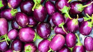 వంకాయ మంచిదా? చెడ్డదా?..ఇలా ఈజీగా తెలుసుకోవచ్చు