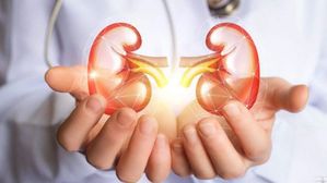  కిడ్నీలు డ్యామేజ్ కాకుండా ఉండాలంటే..నిపుణులు సూచిస్తున్న అద్భుతమైన డ్రింక్స్