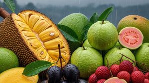 వర్షాకాలంలో ఆరోగ్యంగా ఉండాలంటే ఈ పండ్లు తినాలి