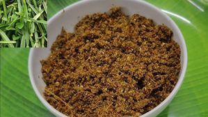 వందల రోగాల్ని నయం చేసే నల్లేరు కారం పొడి..ఎలా చేసుకోవాలో చూడండి