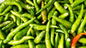 నెల రోజులైనా పచ్చిమిర్చి తాజాగా ఉండాలా? ఈ ఒక్క ట్రిక్ పాటిస్తే చాలు!