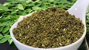 శక్తివంతమైన మునగాకుతో కమ్మనైన కారం పొడి..ఇంట్లో ఉంటే డాక్టర్ అవసరమే రాదు!