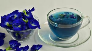 ఆరోగ్యానికి నీలి మందు..అపరాజిత పూల టీతో అద్భుత ప్రయోజనాలు!