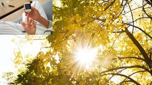 షుగర్ వ్యాధికి, సూర్యకాంతికి లింక్ ఏంటి? తాజా పరిశోధనలో ఆశ్చర్యకరమైన విషయాలు