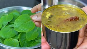 అమృతం లాంటి వాము ఆకు చారు..వేడి అన్నంలోకి తింటే రుచి అదుర్స్..రోగాలు పరార్!