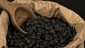 పురుషుల పాలిట సంజీవని..మన చుట్టూ దొరికే ఈ గింజల లాభాలు తెలిస్తే వదలరు!