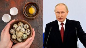 ఈ చిన్న గుడ్లలో ఇన్ని పోషకాలా? పుతిన్ ఆరోగ్య రహస్యం గురించి తెలిస్తే షాక్ అవుతారు!