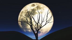 మాఘ పూర్ణిమ మహిమ.. ఈ రాశులకు ఇక తిరుగులేదు!