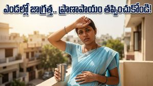 ఎండలు మండిపోతున్నాయి.. గర్భిణులు, పీసీఓఎస్ ఉన్నవారు ఈ జాగ్రత్తలు తీసుకోకపోతే ప్రమాదమే!