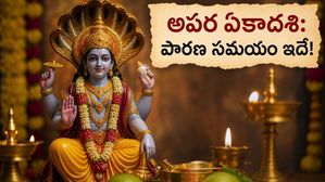 అపర ఏకాదశి రోజున ఈ తప్పులు చేస్తున్నారా? వ్రత ఫలం దక్కాలంటే పారణ సమయాలు, నియమాలు తప్పక తెలుసుకోండి!