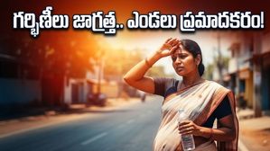 ఎండలు మండిపోతున్నాయి.. గర్భిణీలు ఈ తప్పులు చేస్తే ప్రమాదమే!