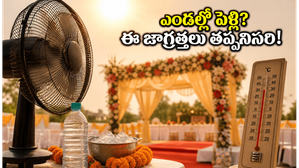 ఎండల వేళ పెళ్లిళ్లు.. అతిథుల ఆరోగ్యం కోసం ఈ చిన్న మార్పులు చేయకపోతే కష్టమే!
