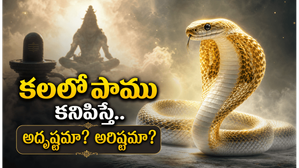 కలలో పాము కనిపిస్తే ఏమి అర్థం? శాస్త్రాలు, స్వప్న శాస్త్రం చెప్పే ఆశ్చర్యకర సంకేతాలు ఇవే!