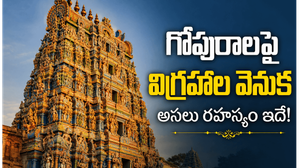 దేవాలయాల్లో గోపురాలపై విగ్రహాలు ఎందుకు చెక్కబడ్డాయి?
