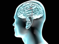 (ছবি) নিজের মনের জোর ও মস্তিষ্কের ক্ষমতা বাড়ান এই উপায়ে