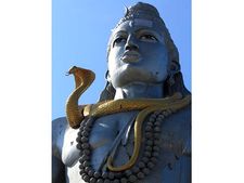 শিবের ৮টি ভূষণের অর্থের উপলব্ধি