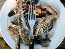 মাছের কাঁটা থেকে মৃত্যু?