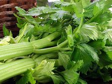 ডায়াবেটিসকে নিয়ন্ত্রণে রাখতে এই দুটি উপাদান দারুন কাজে দেয়