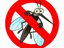 এই খাবারগুলি খেলে কোনও দিন আর মশার কামড় খেতে হবে না!