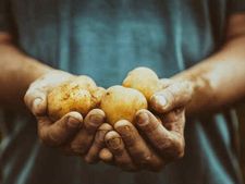 প্রেসার এবং সুগারের রোগীদের কি সত্যিই আলু খাওয়া উচিত নয়?