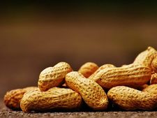 বাদামের দামি দিকগুলো জানেন তো?